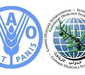 Logos of the Food and Agriculture Organization and the International Olive Council. - Olive Oil Times
