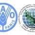 Logos of the Food and Agriculture Organization and the International Olive Council. - Olive Oil Times
