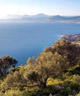A panoramic view of the coastline in Sicily, featuring water, hills, and vegetation. - Olive Oil Times