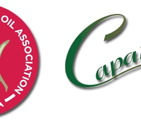 Logos of the North American Olive Oil Association and Capatriti brand featuring olives. - Olive Oil Times