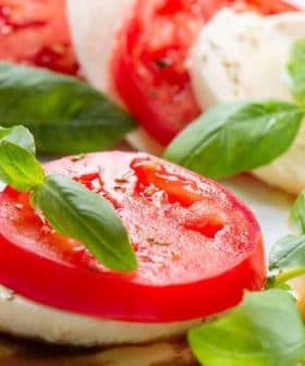 Sliced tomatoes and mozzarella cheese garnished with fresh basil leaves on a plate. - Olive Oil Times