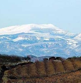 Snow-covered mountain range visible above agricultural fields in the foreground. - Olive Oil Times