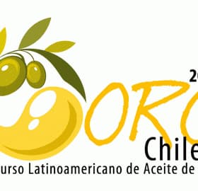 Logo for the 2013 Oro Chile Latin American Olive Oil Competition featuring olives and text. - Olive Oil Times