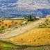 A landscape featuring olive groves and rolling hills under a clear sky. - Olive Oil Times