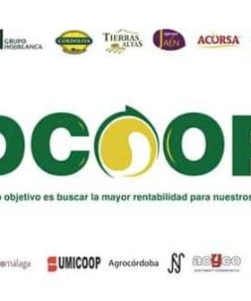 DCOOP logo with text and logos of partner organizations displayed below it. - Olive Oil Times