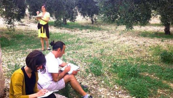 Two individuals sitting and sketching in an olive grove while a third person stands and observes. - Olive Oil Times