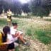 Two individuals sitting and sketching in an olive grove while a third person stands and observes. - Olive Oil Times