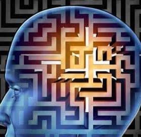 Illustration of a human head with a maze pattern inside, depicting complexity and thought. - Olive Oil Times