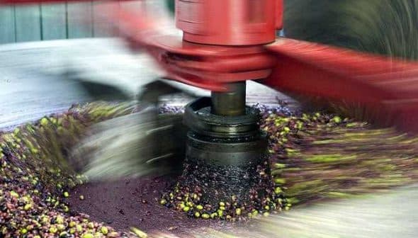 Mechanical equipment processing olives into oil, showing motion and olive fragments. - Olive Oil Times
