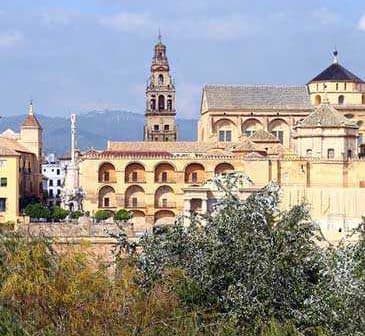 Historic buildings in Cordoba, featuring intricate architecture and a prominent bell tower. - Olive Oil Times