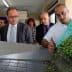 A worker pouring olives from a container onto a processing table in a facility in Malta. - Olive Oil Times
