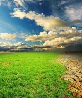 A split image showing vibrant green grass on one side and dry, cracked soil on the other side under a cloudy sky. - Olive Oil Times