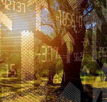 An olive tree with a digital financial graph overlay showing various statistics and trends. - Olive Oil Times