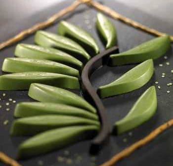 Artistic arrangement of green leaves on a slate background with a black stem. - Olive Oil Times