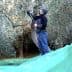 Individual using a pole to harvest olives from an olive tree while standing on a green tarp. - Olive Oil Times