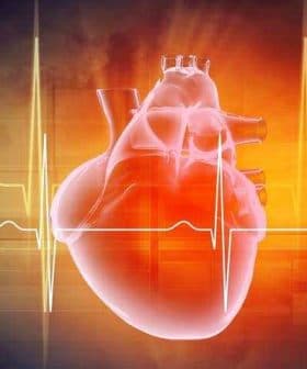 Illustration of a human heart with an electrocardiogram line in the background. - Olive Oil Times