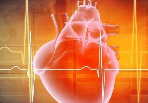 Illustration of a human heart with an electrocardiogram line in the background. - Olive Oil Times