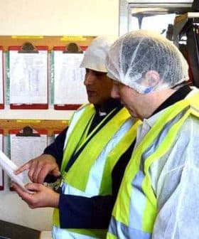 Two workers in safety vests and hairnets examining a document in a workplace setting. - Olive Oil Times