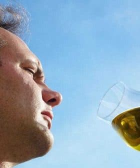 A man examining a glass of olive oil against a blue sky background. - Olive Oil Times