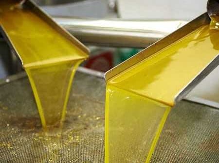 Golden olive oil flowing from two spouts into a collection container during processing. - Olive Oil Times
