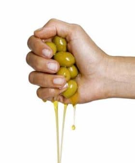 A hand squeezing a cluster of green olives, with olive oil dripping from them. - Olive Oil Times