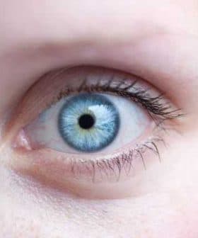Close-up image of a human eye featuring a blue iris and dark pupil. - Olive Oil Times