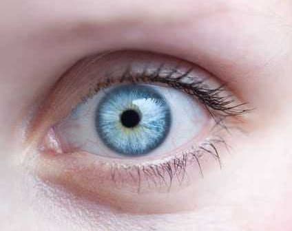 Close-up image of a human eye featuring a blue iris and dark pupil. - Olive Oil Times