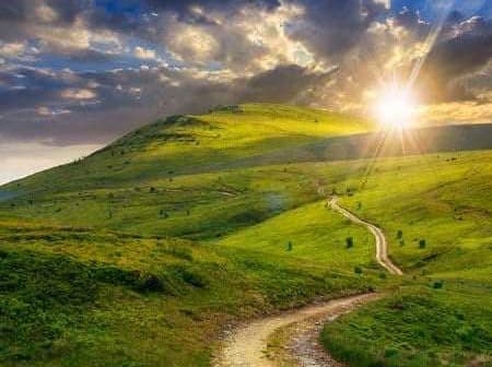 Sunset illuminating rolling green hills with a winding dirt path in the foreground. - Olive Oil Times
