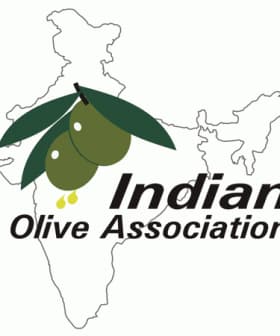 Logo of the Indian Olive Association featuring olives and a map of India. - Olive Oil Times