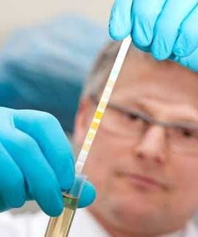 Scientist in gloves examining a test tube with a colorimetric analysis strip for measurement. - Olive Oil Times