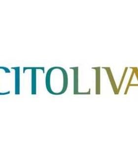 Citoliva logo featuring the brand name in stylized green and gold letters. - Olive Oil Times