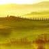 Rolling hills of Tuscany with cypress trees and a farmhouse under a golden sunset. - Olive Oil Times