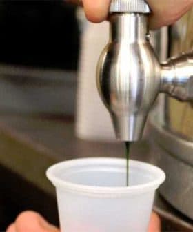 A hand operating a metal oil dispenser to fill a clear plastic cup with dark liquid. - Olive Oil Times