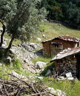 Two stone houses with wooden roofs situated in a grassy area with olive trees and rocks. - Olive Oil Times