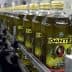 Row of Dante extra virgin olive oil bottles on a production line in a factory setting. - Olive Oil Times