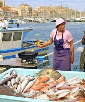 Woman and man at a fish market in Marseille with a large display of fresh fish. - Olive Oil Times