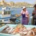 Woman and man at a fish market in Marseille with a large display of fresh fish. - Olive Oil Times