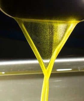 Stream of golden olive oil pouring from a spout into a container. - Olive Oil Times