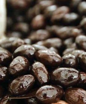 Close-up view of shiny black olives displayed in a natural setting. - Olive Oil Times