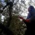 Individual reaching up to harvest olives from an olive tree in a natural setting. - Olive Oil Times