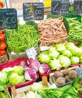 Variety of fresh vegetables including tomatoes, beans, and cabbages displayed at a market stall with price tags. - Olive Oil Times