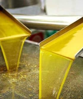 Golden olive oil flowing from metal spouts during the extraction process. - Olive Oil Times