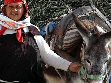 A woman in traditional attire standing next to a donkey with a saddle and bags. - Olive Oil Times