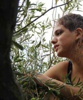 A woman with curly hair sitting among olive tree branches, looking thoughtfully to the side. - Olive Oil Times