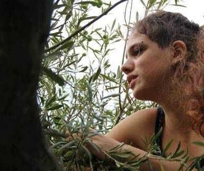 A woman with curly hair sitting among olive tree branches, looking thoughtfully to the side. - Olive Oil Times