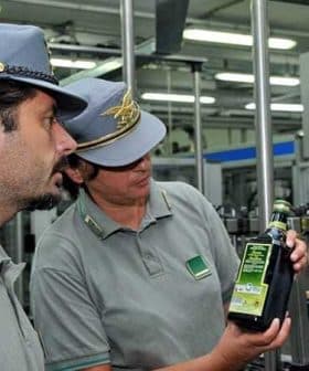 Two individuals examining a bottle of olive oil in a production facility. - Olive Oil Times