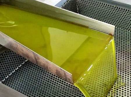 Stream of green olive oil flowing from a stainless steel spout into a perforated container. - Olive Oil Times