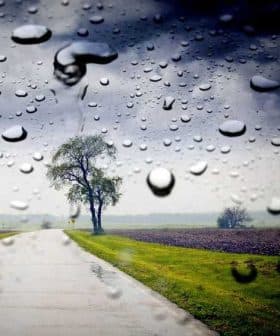 A view of a road with a tree in the background, seen through raindrops on a window. - Olive Oil Times