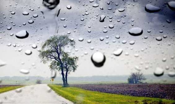 A view of a road with a tree in the background, seen through raindrops on a window. - Olive Oil Times