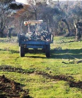 Blue tractor loaded with logs in a grassy field, surrounded by trees. - Olive Oil Times